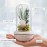 Artificial Flower USB LED Light Perfume Aromatherapy Essential Oil Diffuser Relieve Work Stress Relief Fatigue Waterless Belt Charging Plug-in Use Machine
